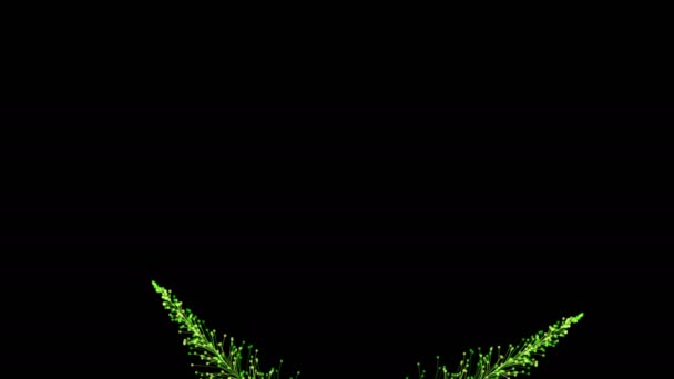 Animation Élégante Branches Lumineuses Poussant Dynamiquement Sur Fond Noir Formant — Video