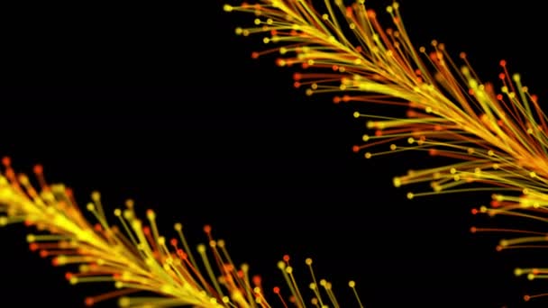 Animation Élégante Branches Colorées Vives Poussant Dynamiquement Élégamment Sur Fond — Video