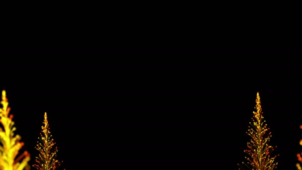 Стильная Анимация Ярких Ветвей Динамично Растет Черном Фоне Формирует Элегантную — стоковое видео