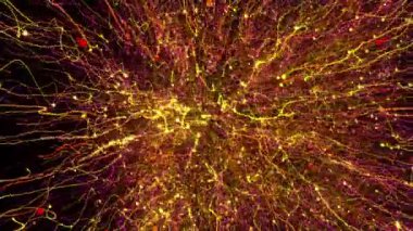 Parlak renkli parçacıklar boşluğu enerji ve ışık püskürtüleriyle doldurur. Parlak şenlik dekorasyonu için parlak renkli soyut arkaplan