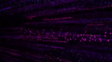 Parlak renkli parçacıklar boşluğu enerji ve ışık püskürtüleriyle doldurur. Parlak şenlik dekorasyonu için parlak renkli soyut arkaplan