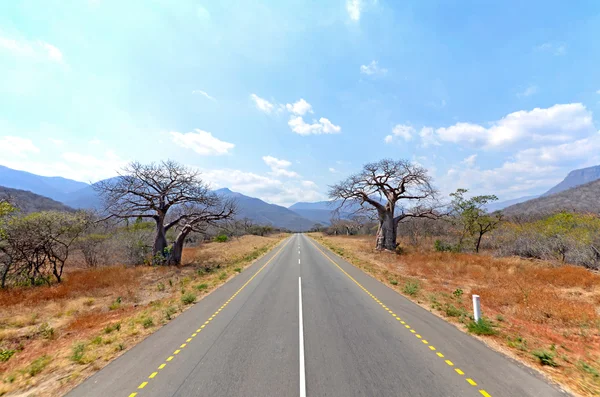 Antiguo Baobab Árboles a lo largo de camino recto con montañas — Foto de Stock