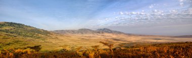 serengeti de Afrika savana Panoraması