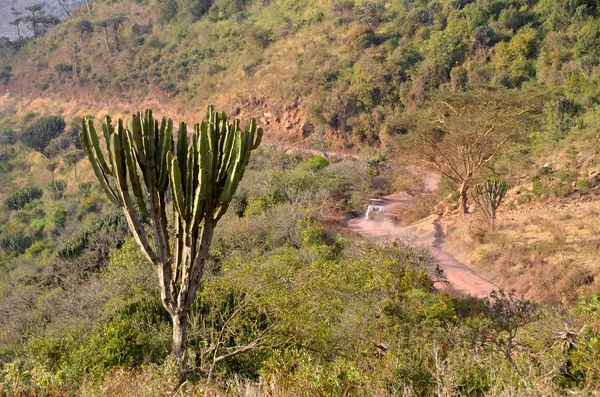 Jeep en carretera que conduce hasta el cráter de Ngorongoro —  Fotos de Stock