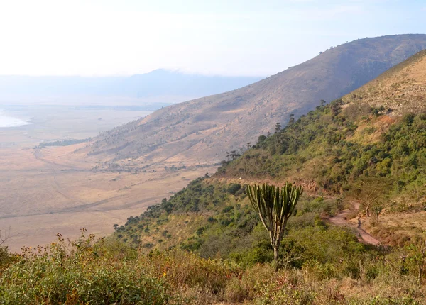 Camino de grava que conduce al cráter de Ngorongoro i —  Fotos de Stock