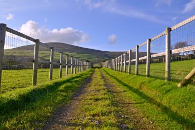 çitlerle çevrili alanlar arasında düz yol