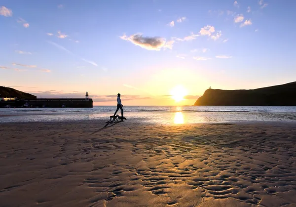 Vrouw honden wandelen op een strand bij zonsondergang — Stockfoto