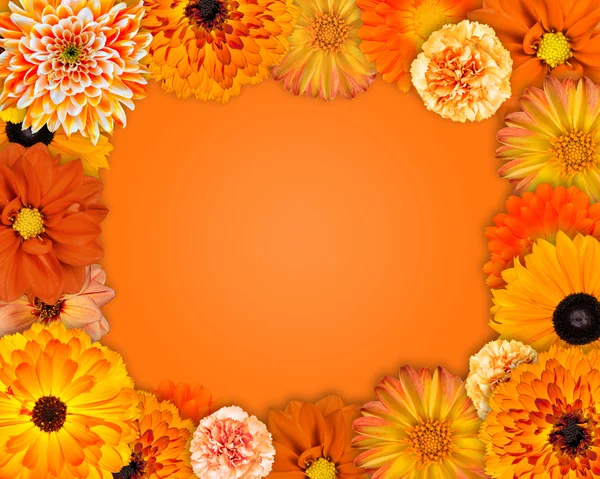 Kader van de bloem met oranje bloemen — Stockfoto