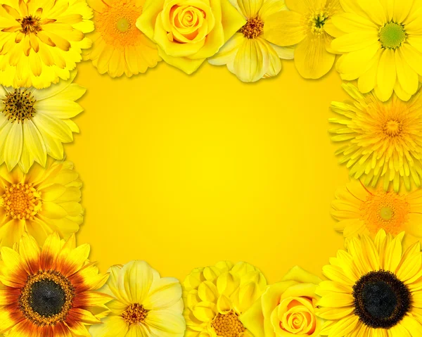 Bloem frame met gele bloemen op oranje achtergrond — Stockfoto