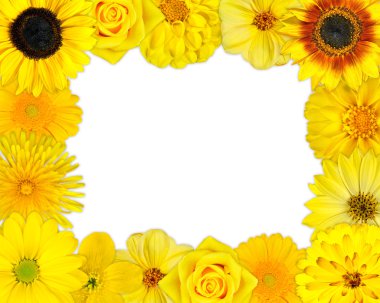 Flower Frame with Yellow Flowers on Blank Background clipart