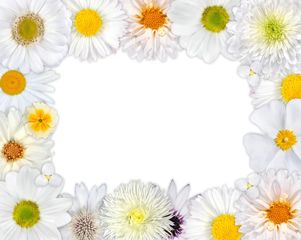 Bloem frame met witte bloemen op lege achtergrond — Stockfoto