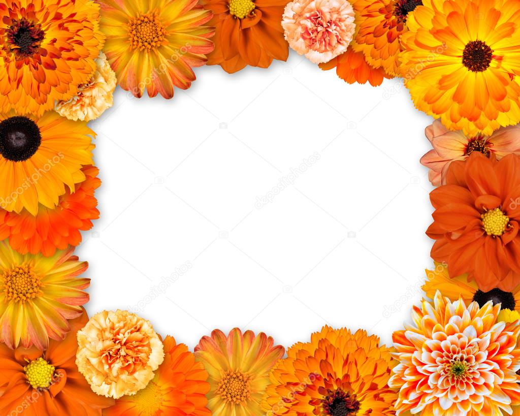 Flower Frame with Orange Flowers on White