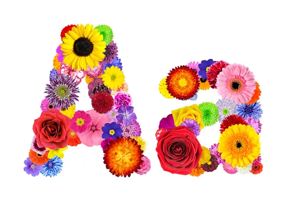Flower Alphabet Isolated on White - Letter A — Stock Photo, Image