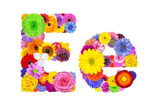 Flower Alphabet Isolated on White - Letter E — Stock Photo, Image