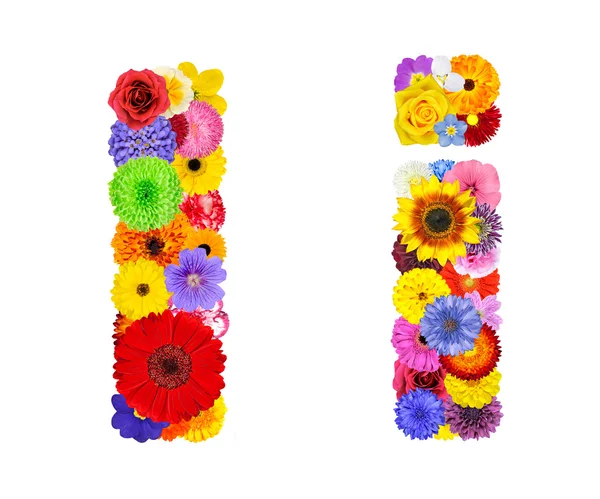 Abeceda květin izolované na bílém - písmeno i — Stock fotografie