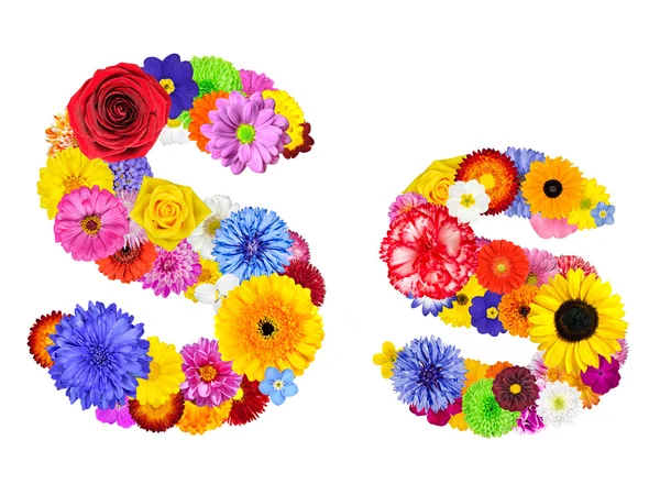 Beyaz - s harfi izole çiçek alfabesi — Stok fotoğraf
