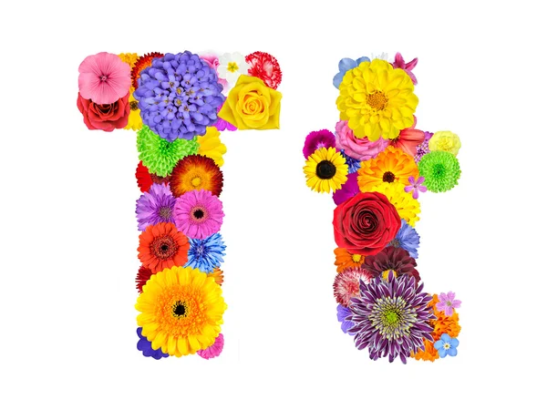 Blume Alphabet isoliert auf weiß - Buchstabe t — Stockfoto