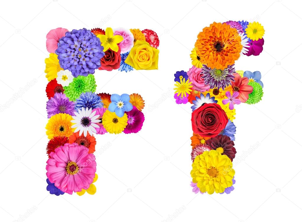 4 images 1 mot lettres 4 fleur blanche