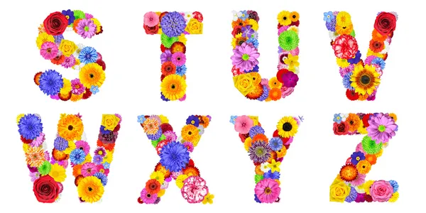 Blumenbuchstaben isoliert auf weiß - Buchstaben s, t, u, v, w, x, y, z — Stockfoto