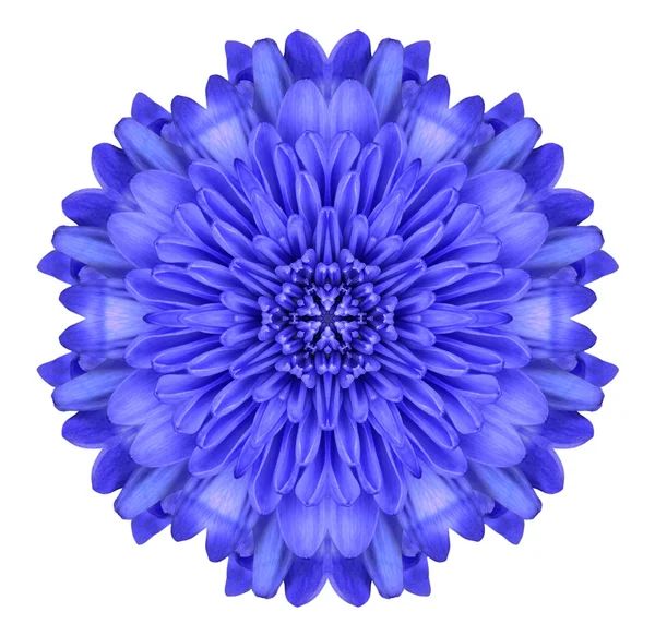 Blue Chrysanthemum Flower Kaleidoscope Isolated on White — Stock Photo, Image