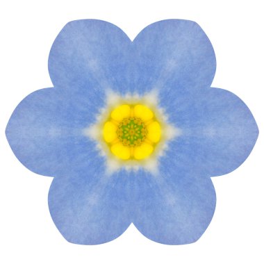 mandala unutma mavi çiçek çiçek Dürbünü izole