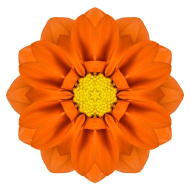 yalıtılmış turuncu mandala gerbera çiçek çiçek Dürbünü