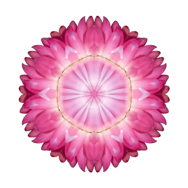Rosa Erdbeerblüten Kaleidoskop isoliert auf weiß — Stockfoto