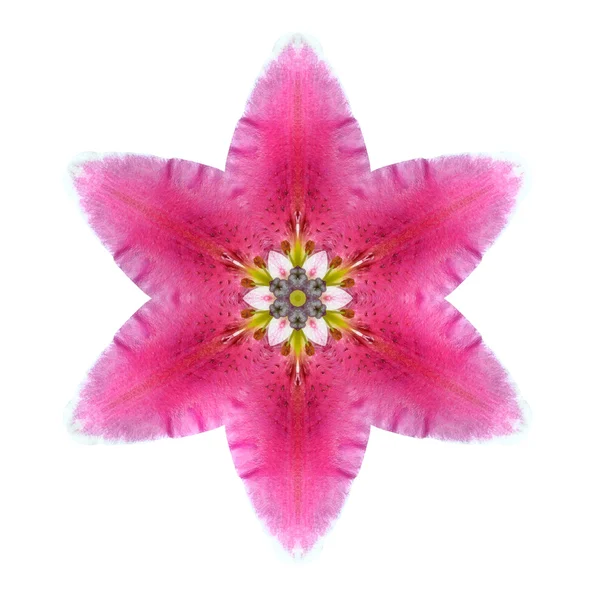 Kaleidoscopic Lily Flower Mandala Isolated on White — Stock Photo, Image