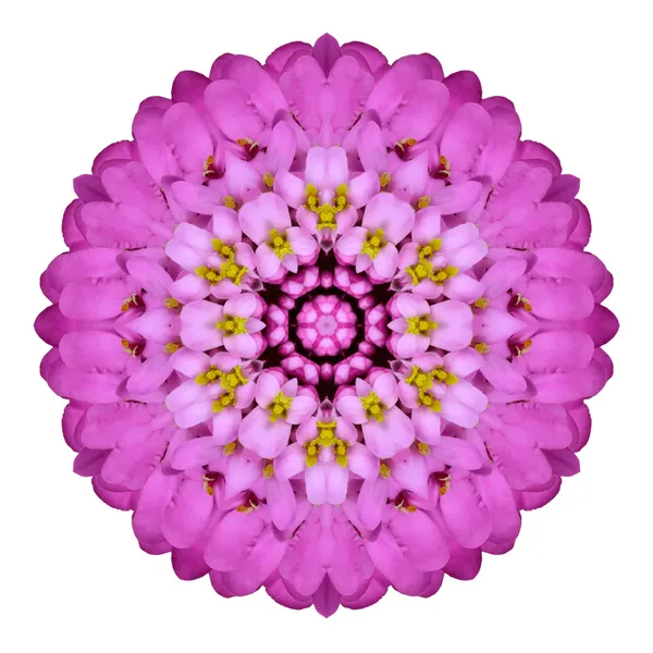Pink Kaleidoscopic Flower Mandala Isolated on White — Stock Photo, Image