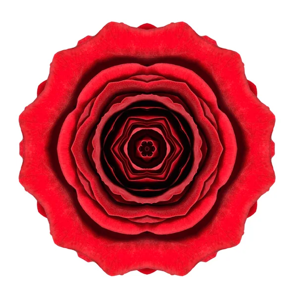 Kaleidoscopic Red Rose Flower Mandala Isolated on White — Stock Photo, Image