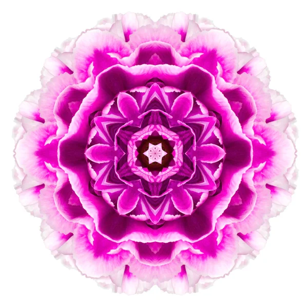 Mandala violet fleur d'oeillet kaléidoscopique isolé sur blanc — Photo