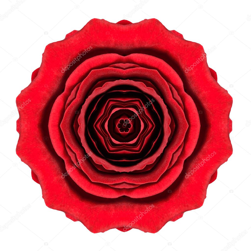 Kaleidoscopic Red Rose Flower Mandala Isolated on White