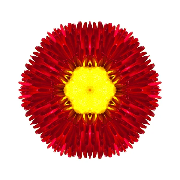 Red Mandala Flower Kaleidoscopic Isolated on White — Stock Photo, Image