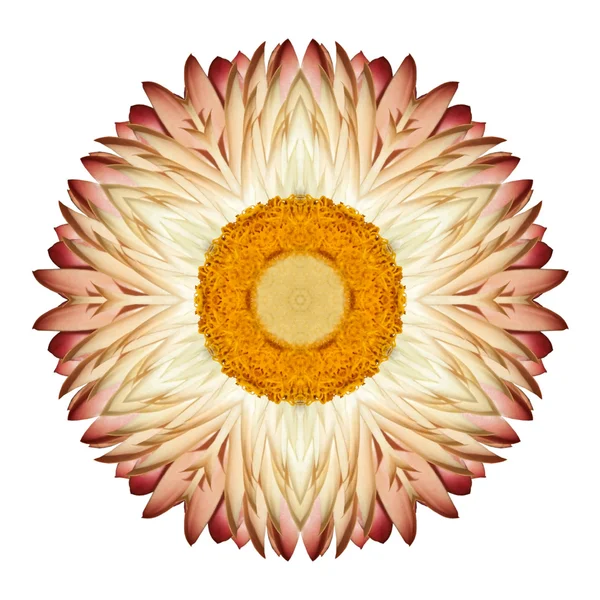 White Straw Mandala Flower Kaleidoscopic Isolated on White — Stock Photo, Image