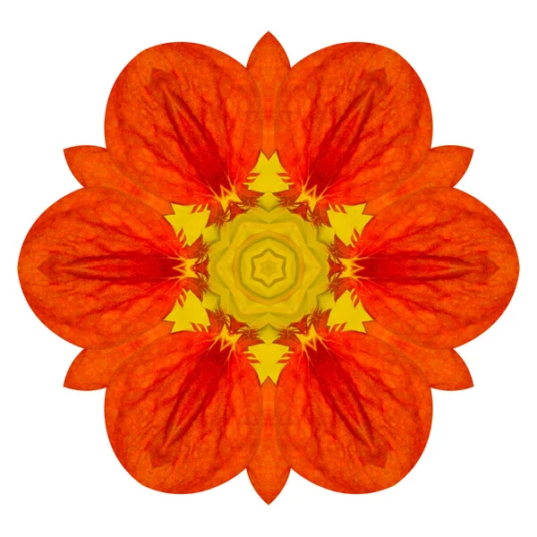 Mandala arancio caleidoscopico fiore isolato su bianco — Foto Stock