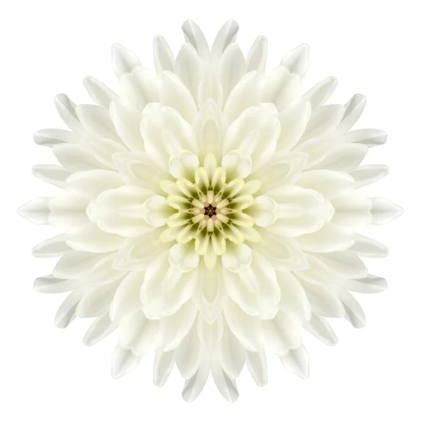 Flor de mandala de crisantemo blanco caleidoscópica aislada en blanco — Foto de Stock