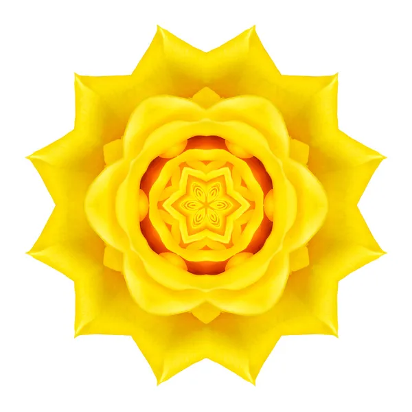 Gelbe konzentrische Rosenblüte isoliert auf weiß. Mandala-Design — Stockfoto