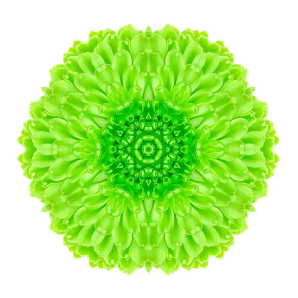 Green Concentric Flower Isolated on White. Mandala Design — Stock Photo, Image