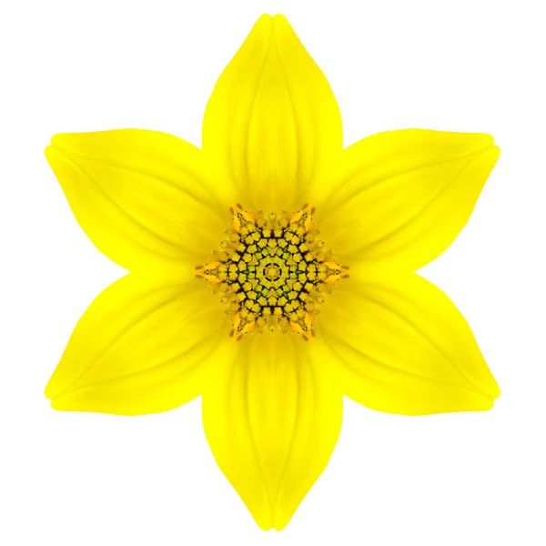 Żółty koncentryczne gwiazda kwiat na białym tle. projekt mandali — Zdjęcie stockowe