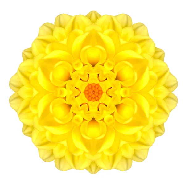 Fleur de Marguerite Concentrique Jaune Isolé sur Blanc. Mandala Design — Photo