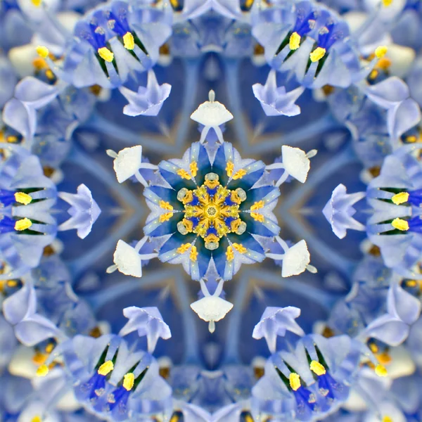 Blue Concentric Flower Center. Diseño caleidoscópico Mandala —  Fotos de Stock