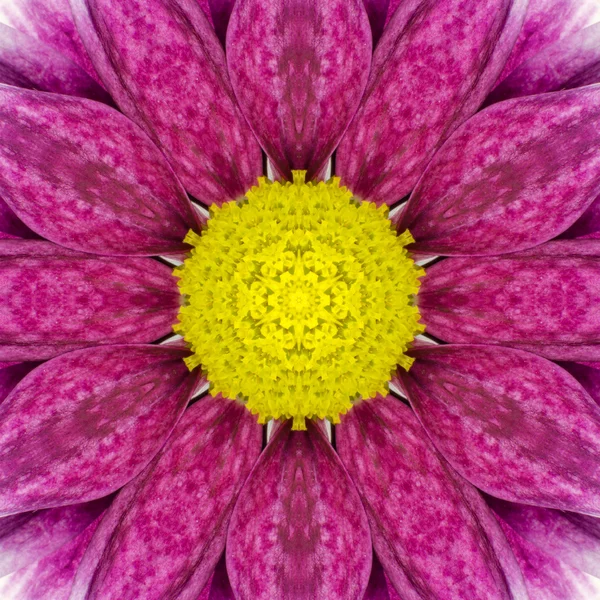 Purple Concentric Flower Center. Mandala Projeto caleidoscópico — Fotografia de Stock