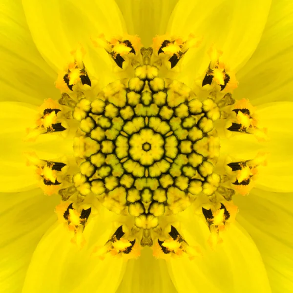 Yellow Concentric Flower Center. Mandala Caleidoscopico design — Foto Stock