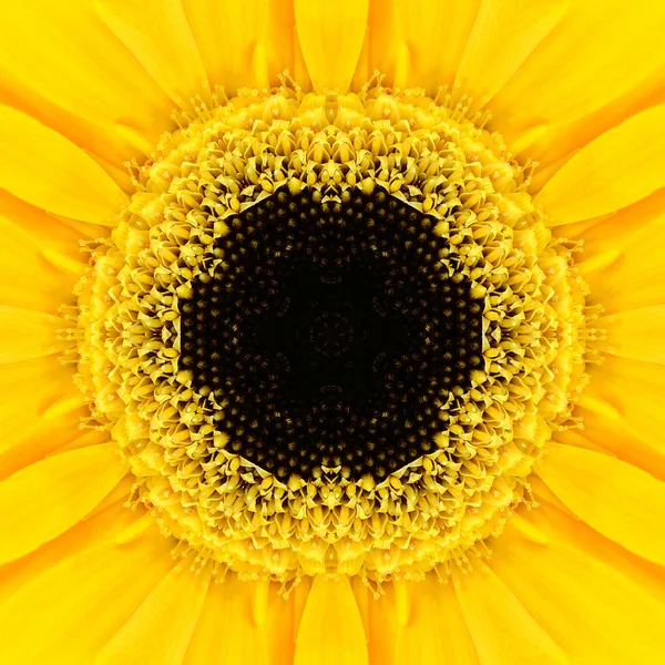 Yellow Concentric Flower Center. Mandala Kaleidoscopic design — Stock Photo, Image