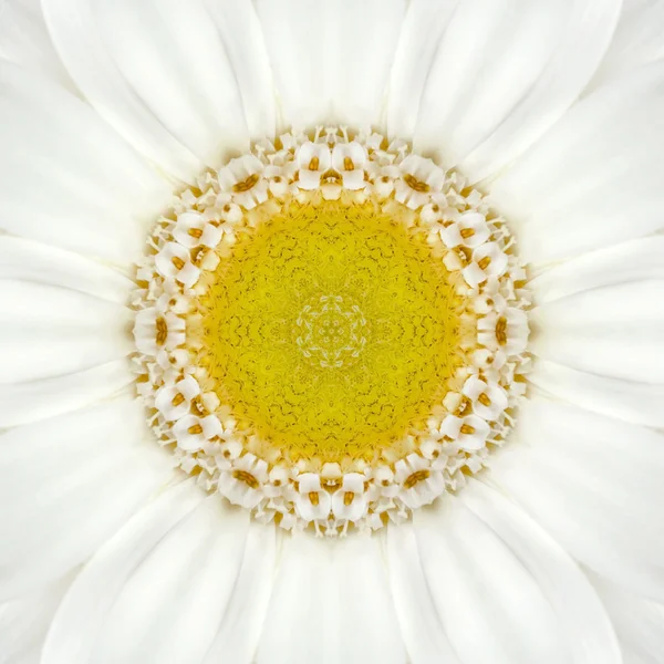 White Concentric Flower Center. Mandala Kaleidoscopic design — Stock Photo, Image