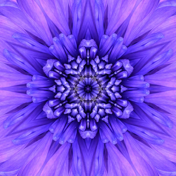 Blue Concentric Flower Center. Mandala Conception kaléidoscopique — Photo