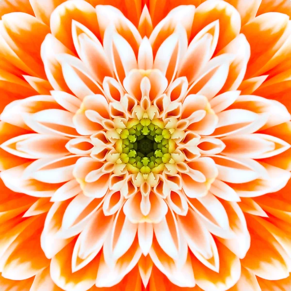 Orangefarbene konzentrische Blütenmitte. Mandala kaleidoskopisches Design — Stockfoto