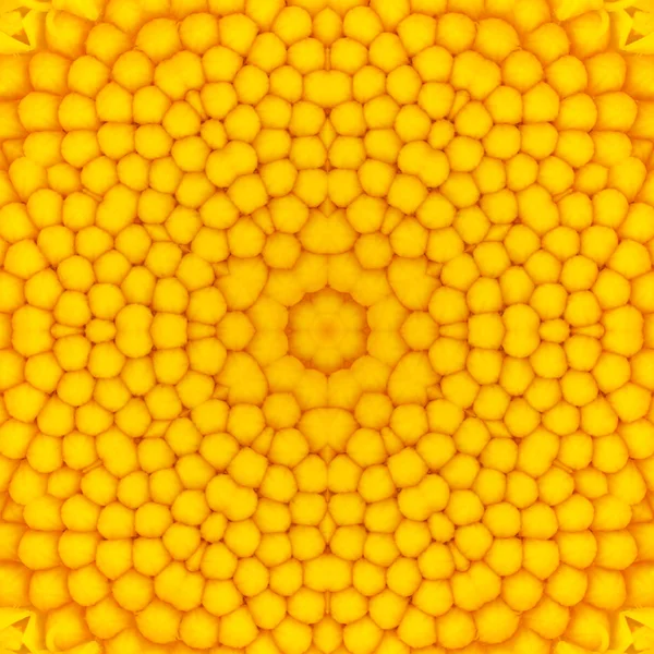 Yellow Concentric Flower Center. Mandala Kaleidoscopic design — Stock Photo, Image