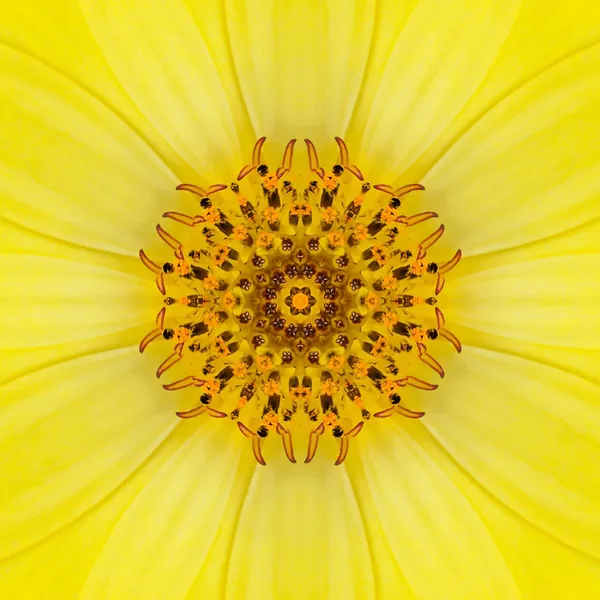 Yellow Concentric Flower Center. Mandala Caleidoscopico design — Foto Stock