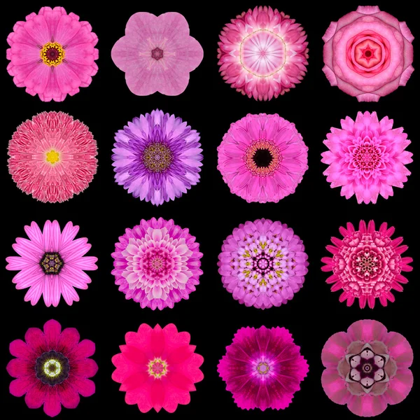 Duży zbiór różnych kwiatów wzór fioletowy na czarnym tle — Zdjęcie stockowe